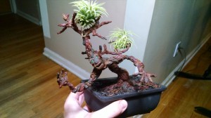 OOAK Bonsai Tree Ent beta build with Air Plants resting and living in its branches
