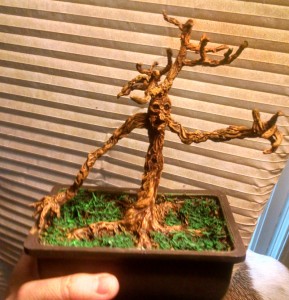 Bonsai Tree Ent