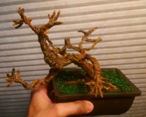 Bonsai Tree Ent