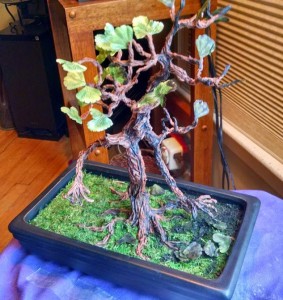 bonsai tree ent sick 3