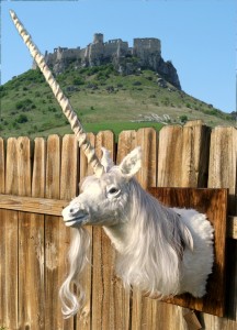unicorn trophy mount on fence